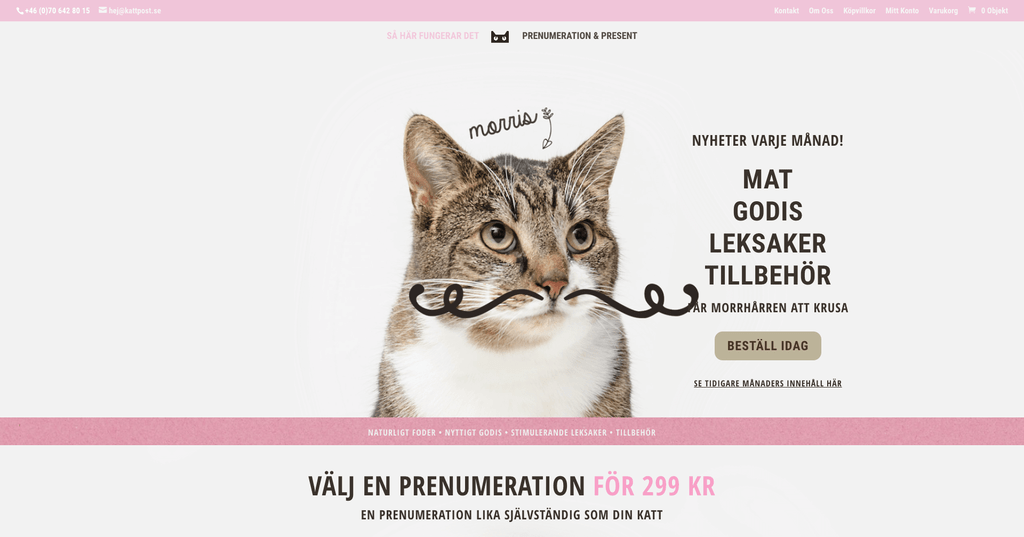 Kattpost – en hemsida skapad med Divi